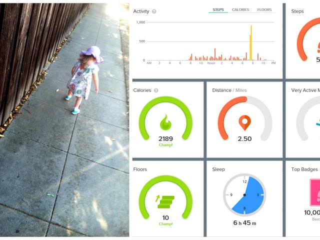 Fitbit Accountability