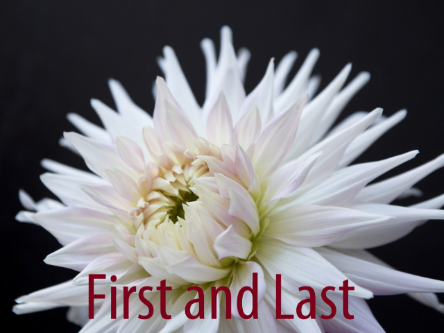 Firsts and Lasts