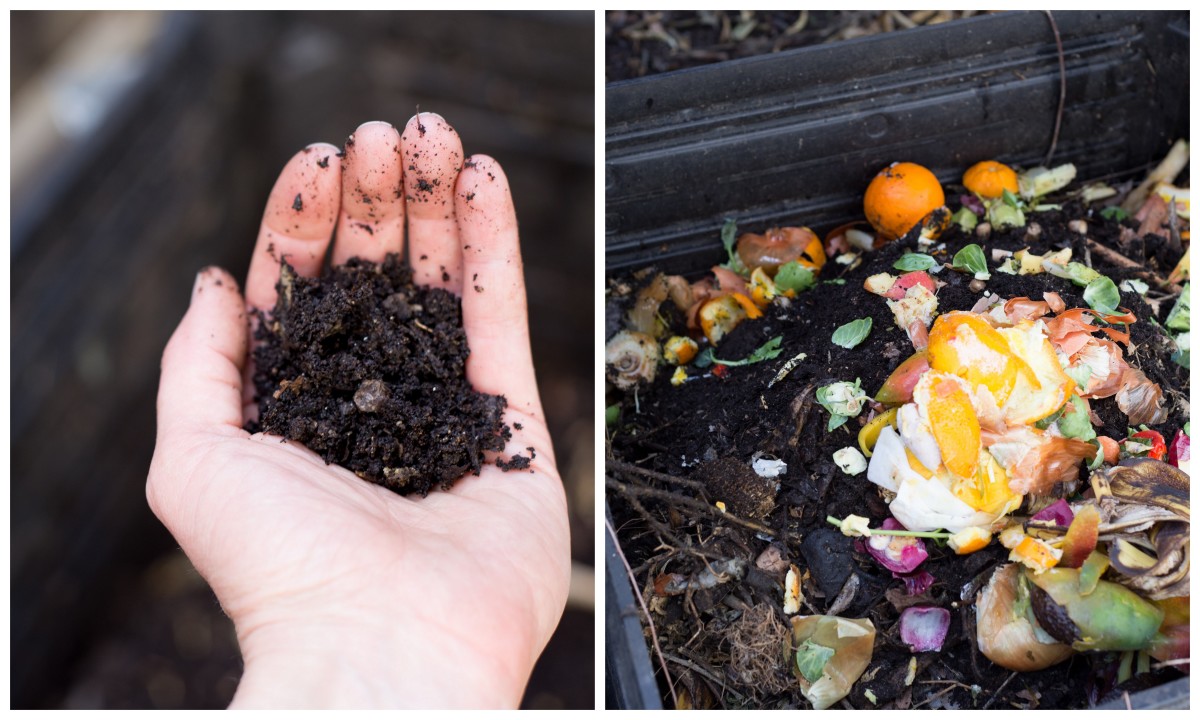 Composting1